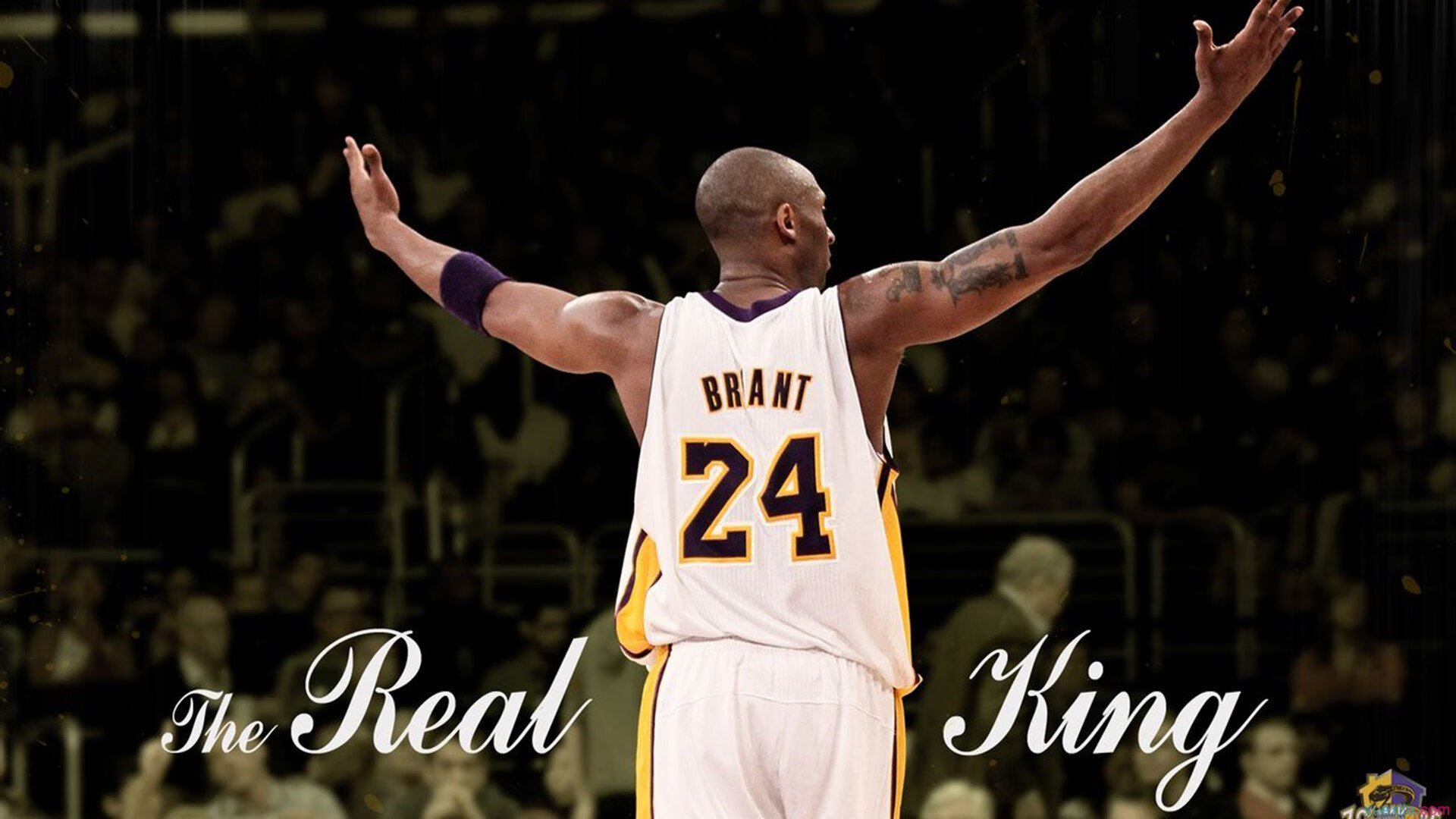 2026年世界杯预选赛激战正酣，多支豪门球队提前锁定晋级席位