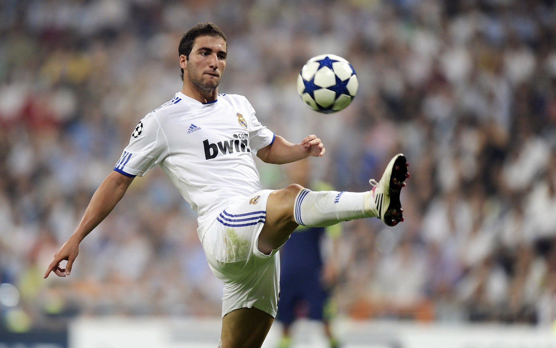 德约科维奇再创历史 温网夺冠追平传奇纪录