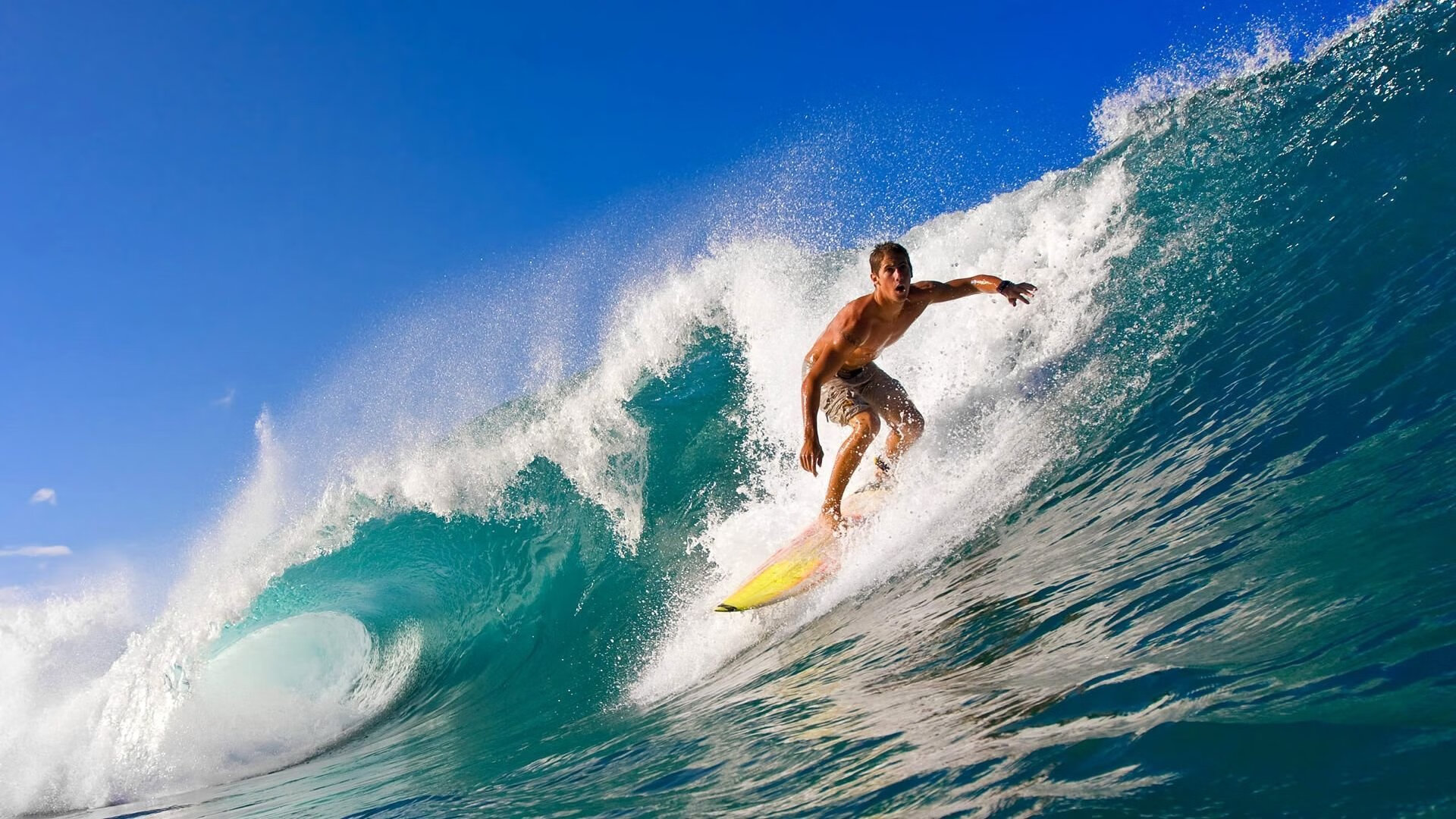 亚冠联赛激战正酣 中超球队逆境中展现韧性